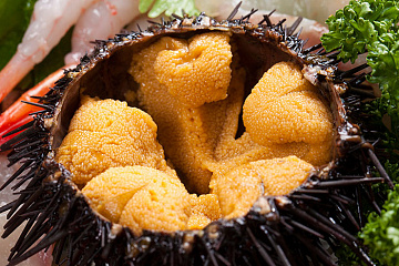 Фото Frozen sea urchin caviar