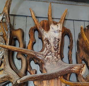 Превью Elk horn with elephant