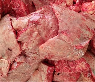 European deer lung