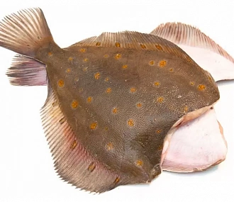 Spotted flounder Murmansk, gutted, headless 1kg+