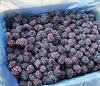 Frozen blackberries 3 kg