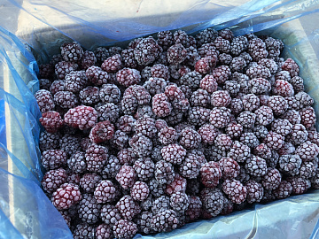 Фото Frozen blackberries 3 kg
