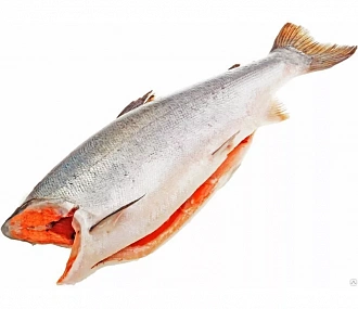 Coho salmon, gutted, headless, 1.9-3 kg (piece frozen)