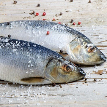 Фото Pacific herring fat s/m large