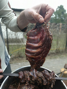 Превью Beaver rib