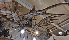 Preview Chandelier with moose horns with drawings