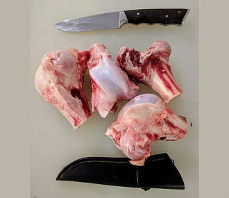 Elk bones with cartilage 20 kg