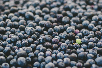 Фото Fresh frozen blueberries 13 kg