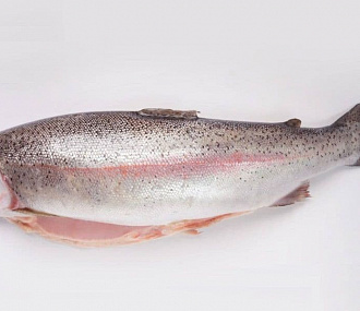 Rainbow trout, gutted, headless 2.7-4 kg, Tibet