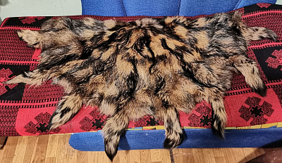 Превью Raccoon carpet