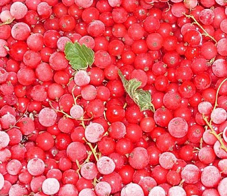 Quick-frozen red currant 300 g