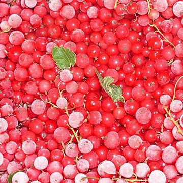 Фото Quick-frozen red currant 300 g