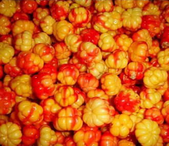 Cloudberries in their own juice (frozen)