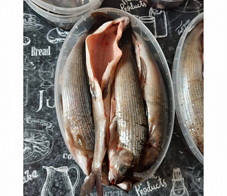 Salted-frozen grayling