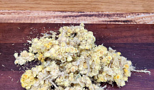 Preview Dried immortelle 